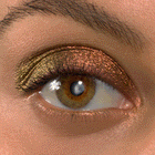 Wolf Girl - Matte Favorite Eye Collection