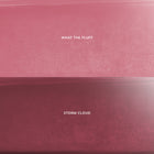 Mocha Plum - Velvety Polished Beauty Selection