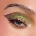 Shrek-Spress Yourself - Classic Premium Beauty Wardrobe