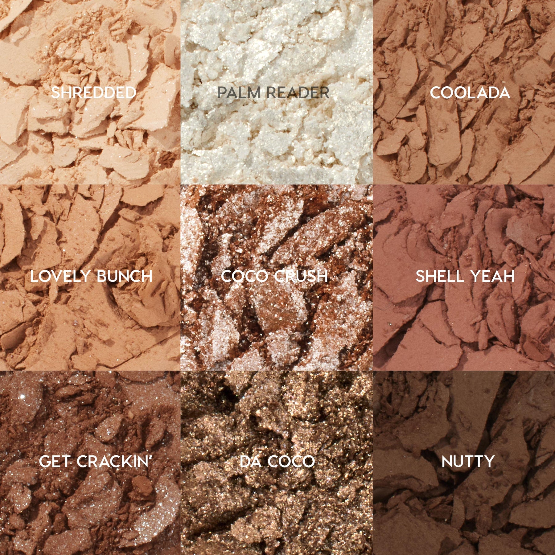 Coconut BB - Sheer Beauty-Ready Beauty Discovery