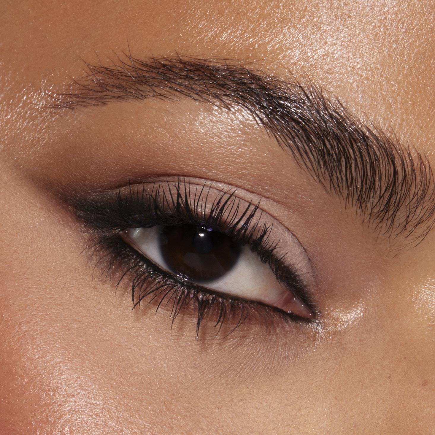 Stone Cold Fox - Polished Editorial Eye Accent