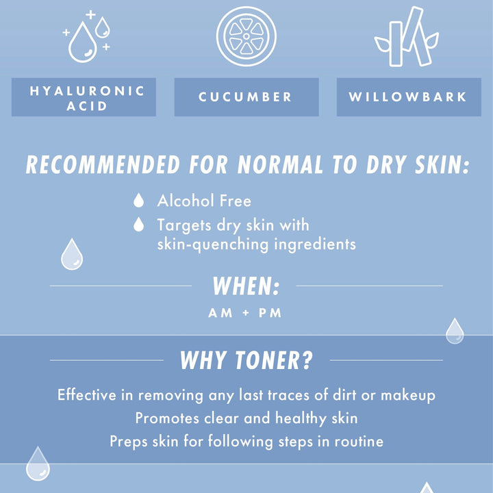 Waterfall Gentle Tonic - Delicate Recovery Skin Renewal