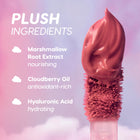 Petal Cloud - Matte Classic Beauty Duo