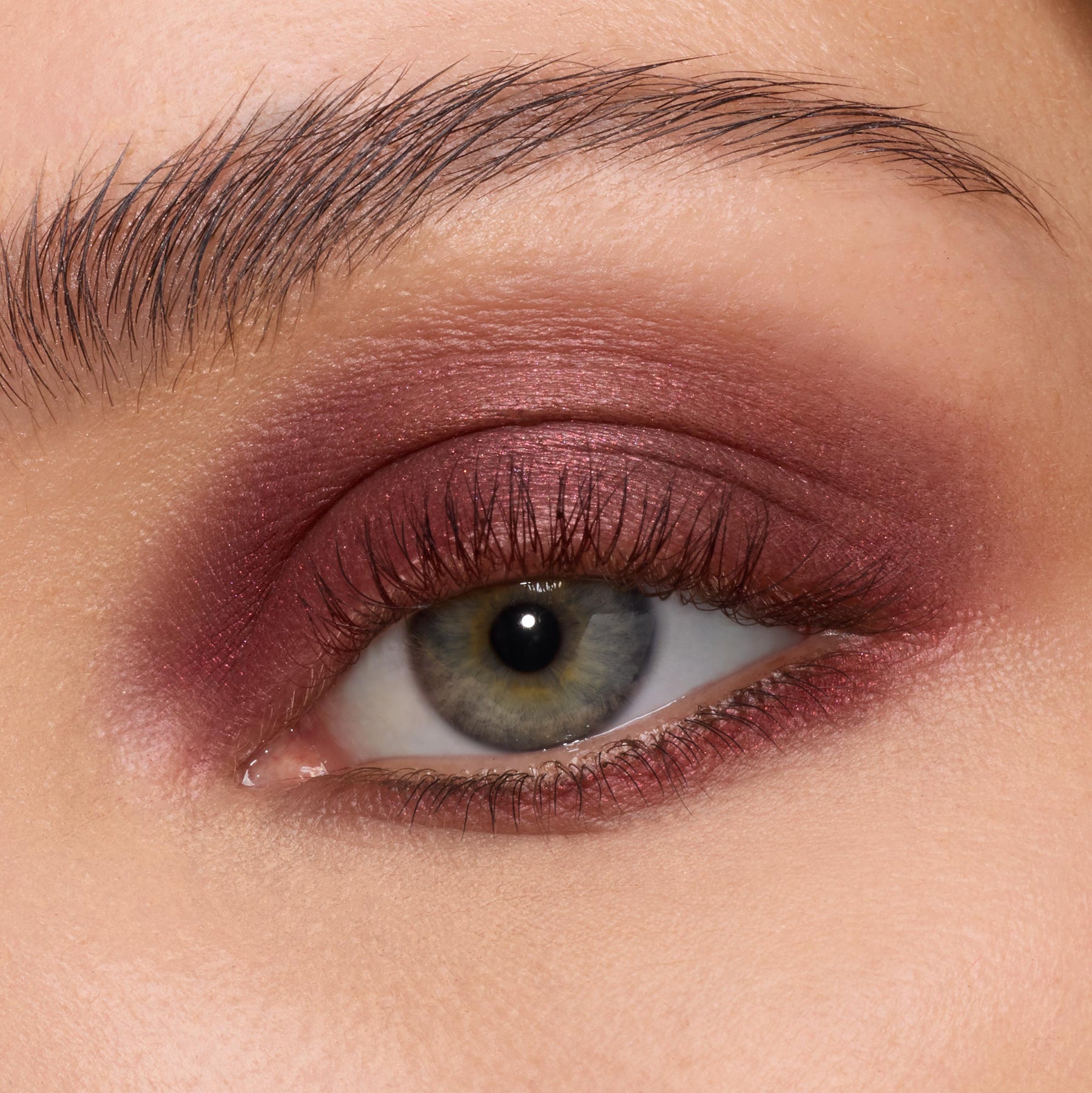 The Volturi - Curated Daytime Eye Collection