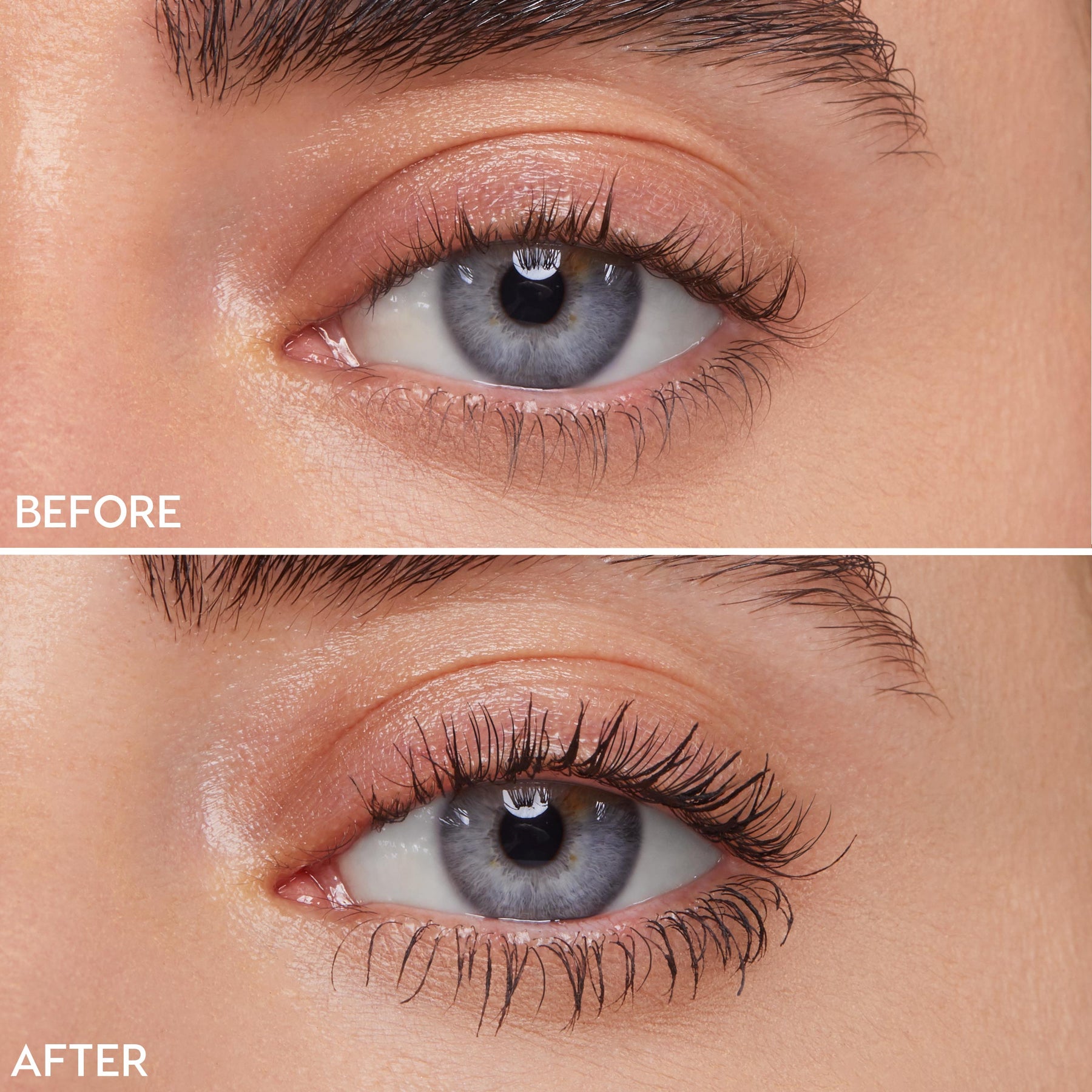 Brown - Multidimensional Vibrant Lash Volume