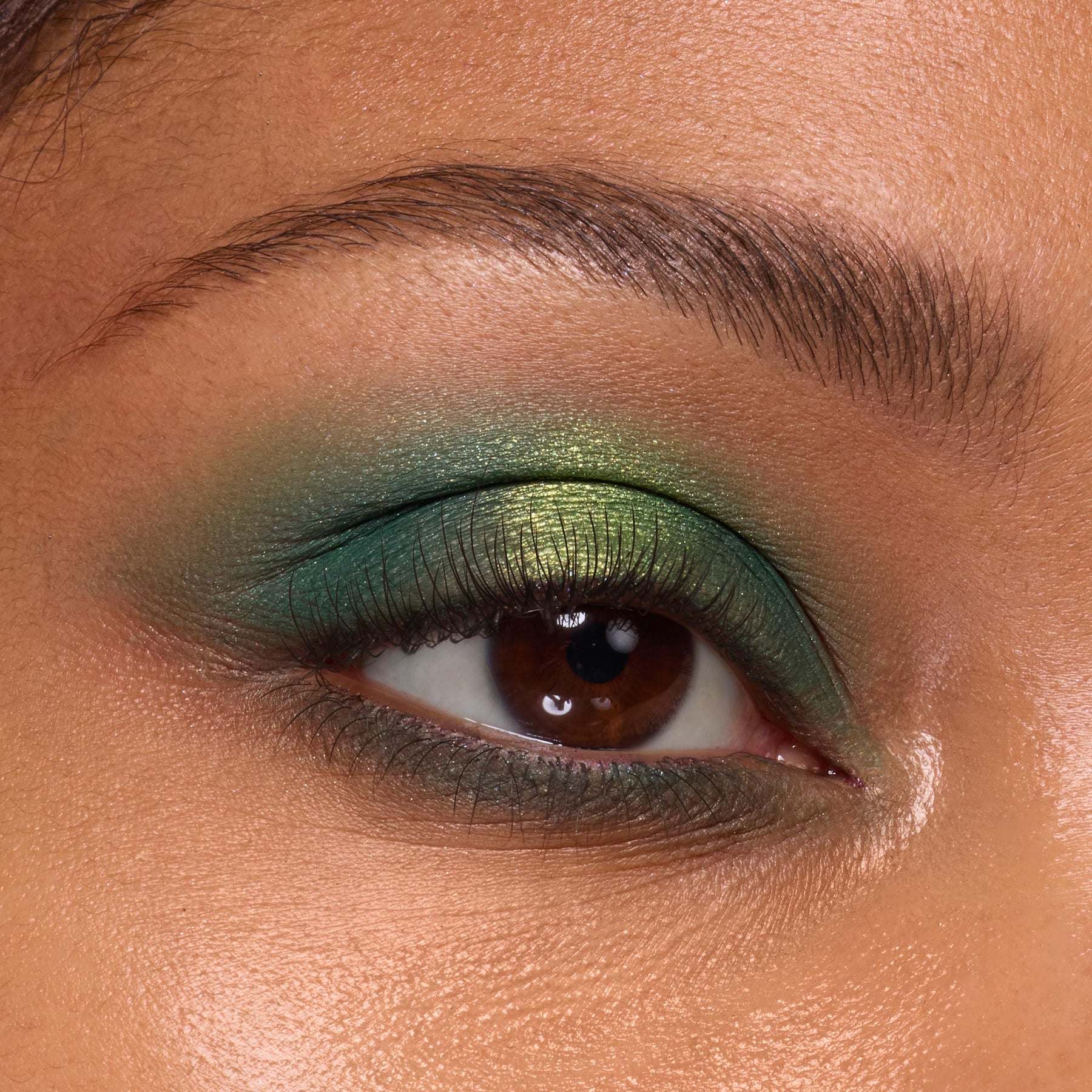Rainbow Rush - Seamless Studio Beauty Curation