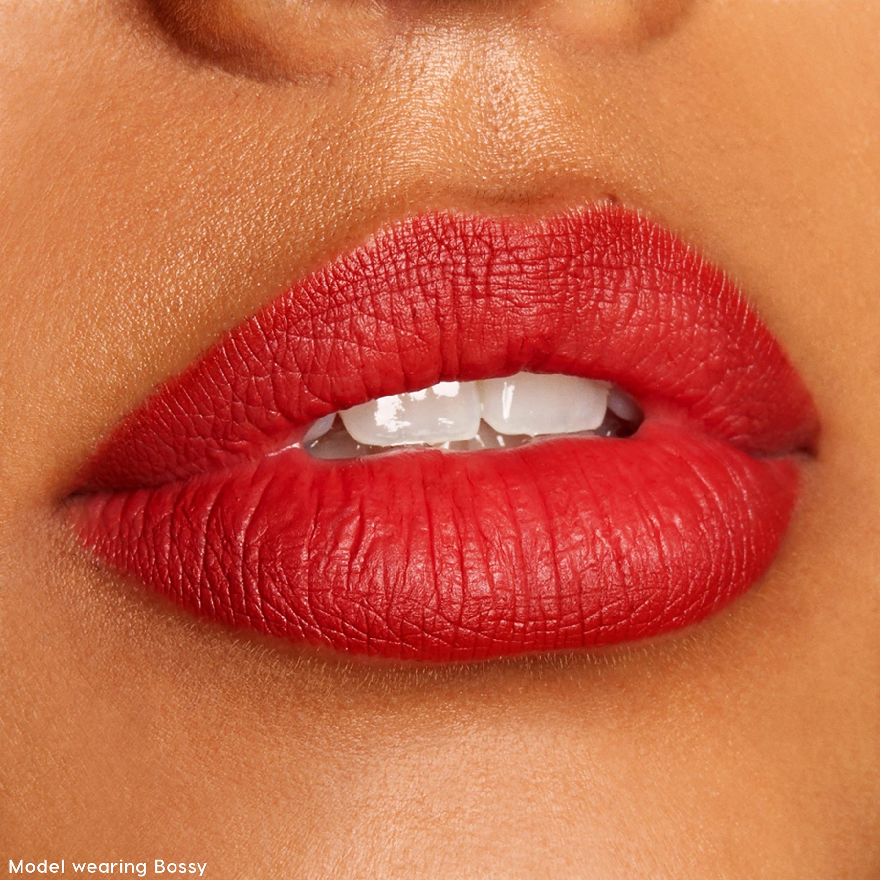 The Lil Box of Lippie Pencils - Natural Limited Lip Finish