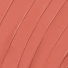 25/8 - Blendable Daily Cheek Set
