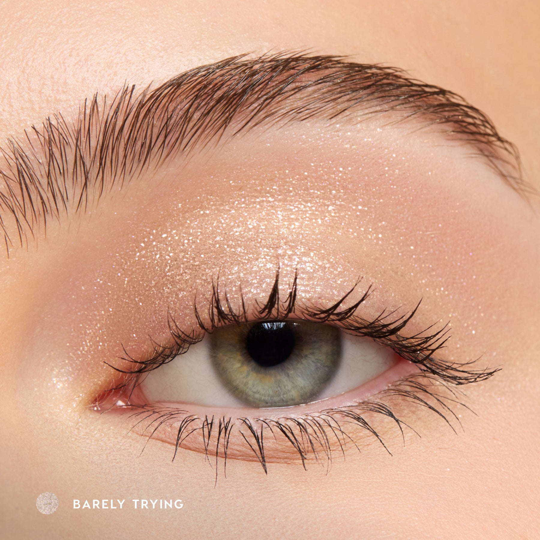 Barely Trying - Classic Runway Eye Palette