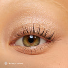 Barely Trying - Classic Runway Eye Palette