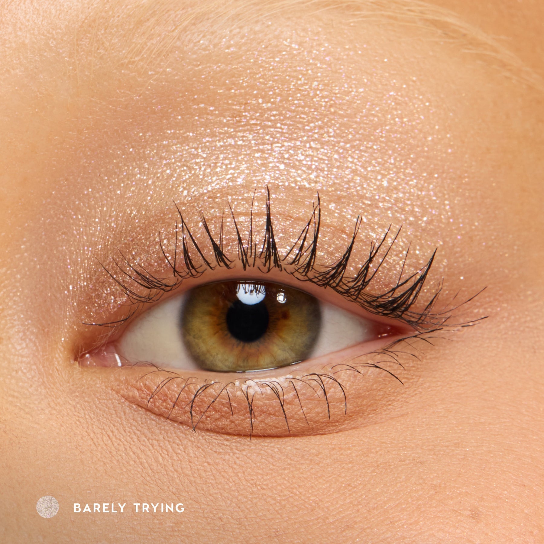 Barely Trying - Classic Runway Eye Palette