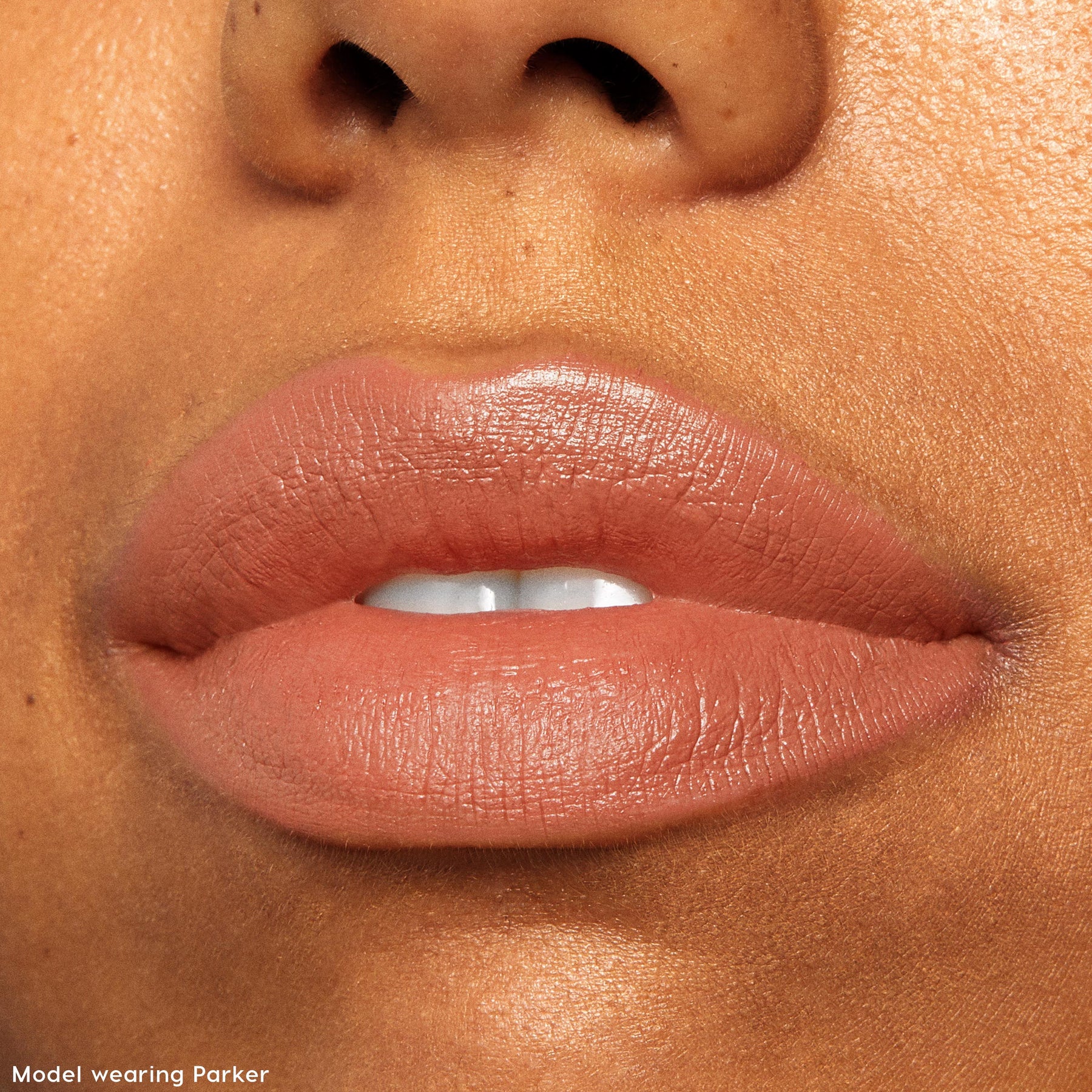 The Lil Box of Lippie Stix - Rosy Daytime Lip Detail